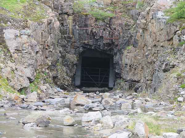 Image description