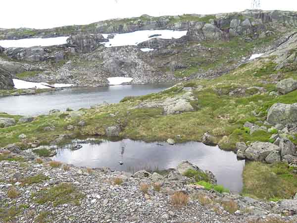 Image description