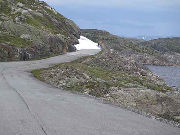 Image description