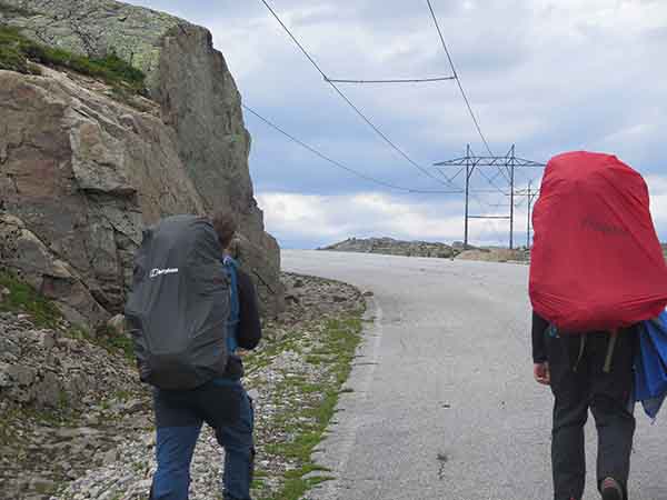 Image description