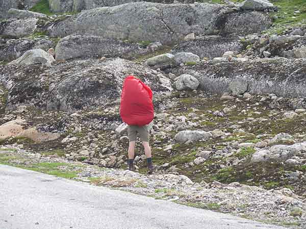 Image description