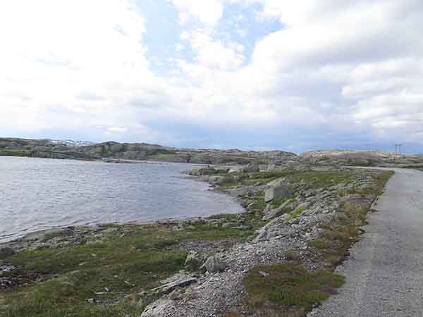Image description