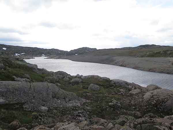 Image description