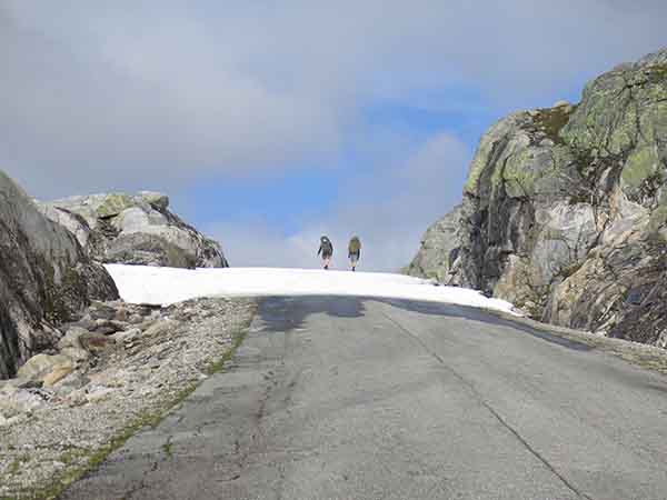 Image description