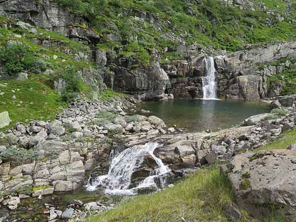 Image description
