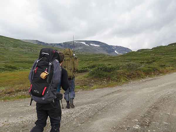 Image description