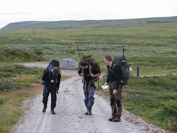 Image description