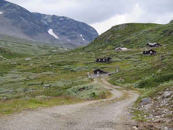 Image description