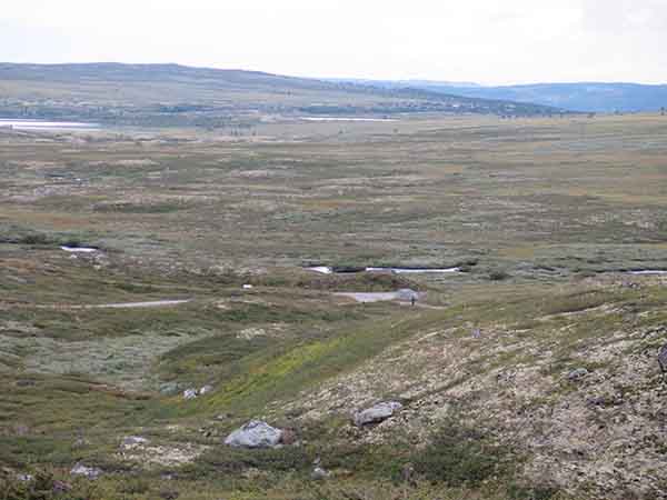 Image description