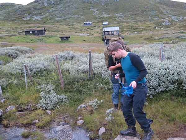 Image description
