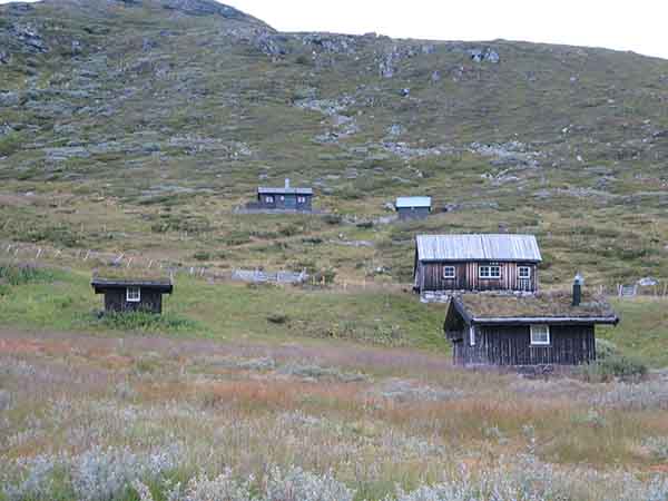 Image description