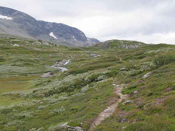 Image description