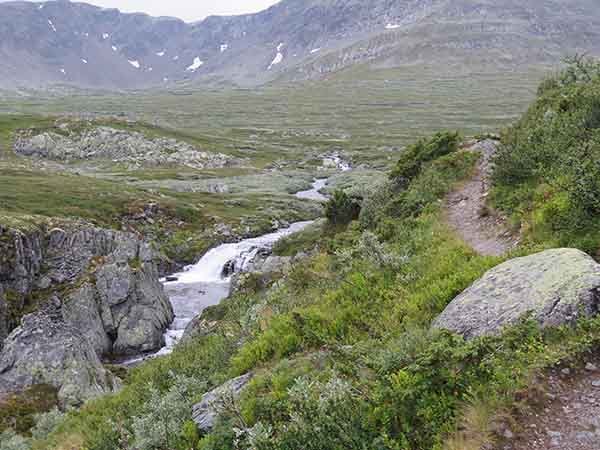 Image description