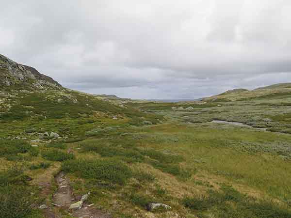 Image description