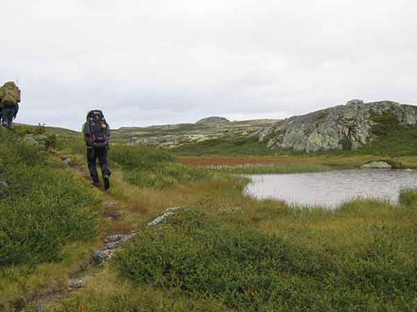 Image description