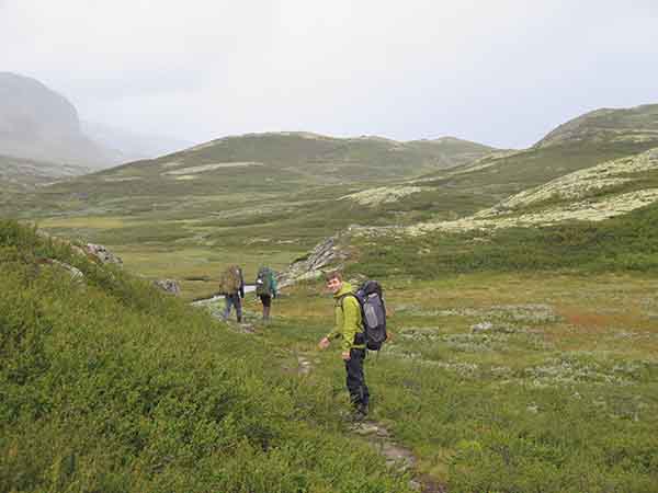 Image description