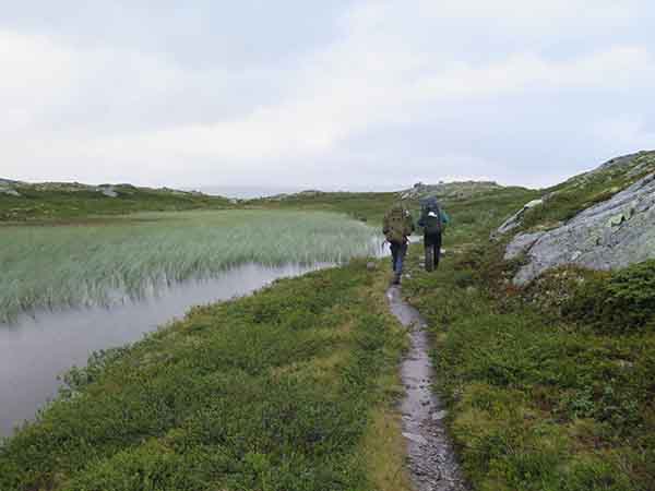 Image description