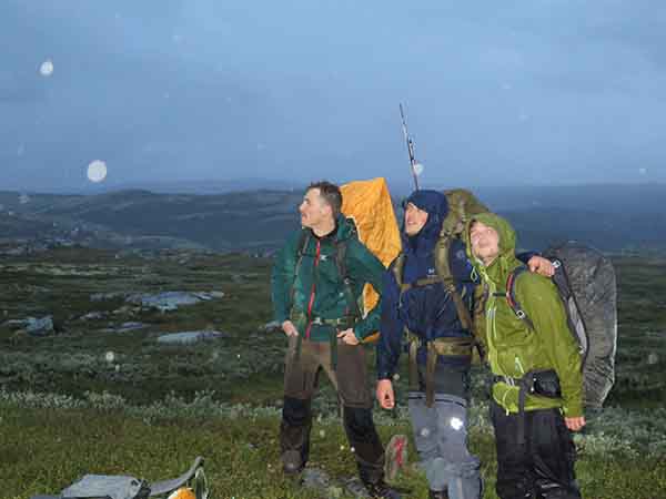 Image description