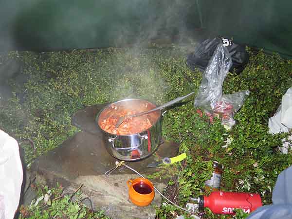 Image description