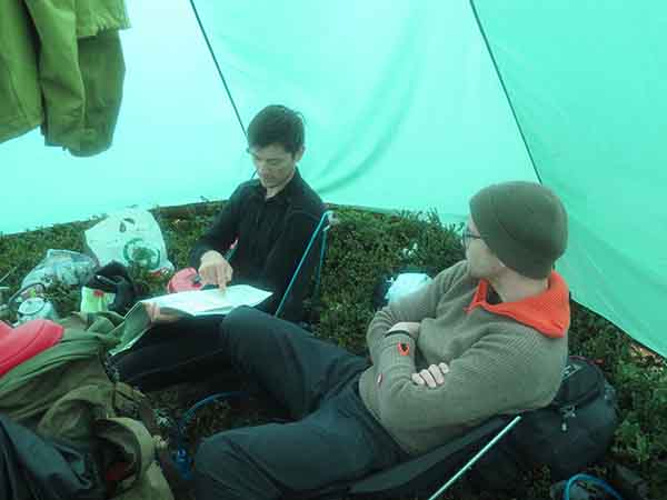 Image description