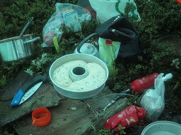 Image description