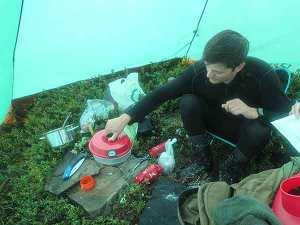 Image description