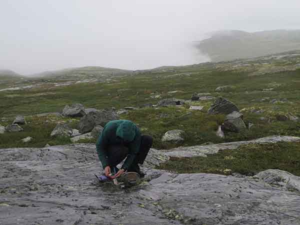 Image description