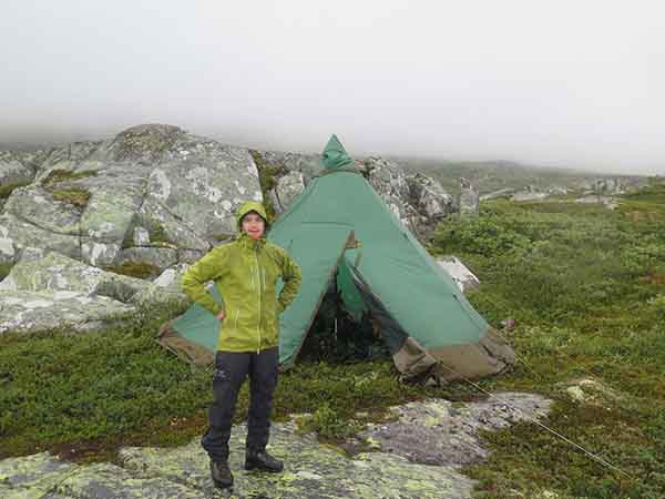 Image description