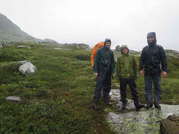 Image description