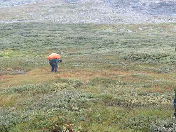 Image description