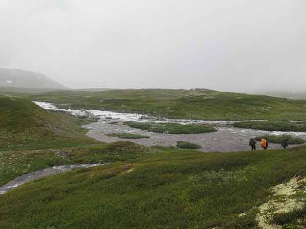 Image description