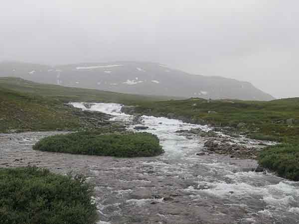 Image description