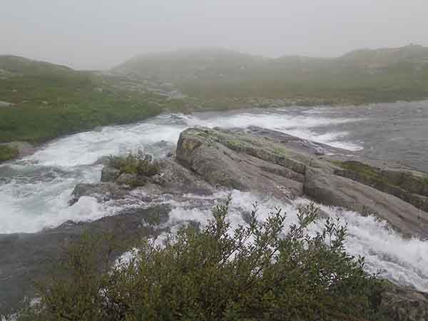 Image description