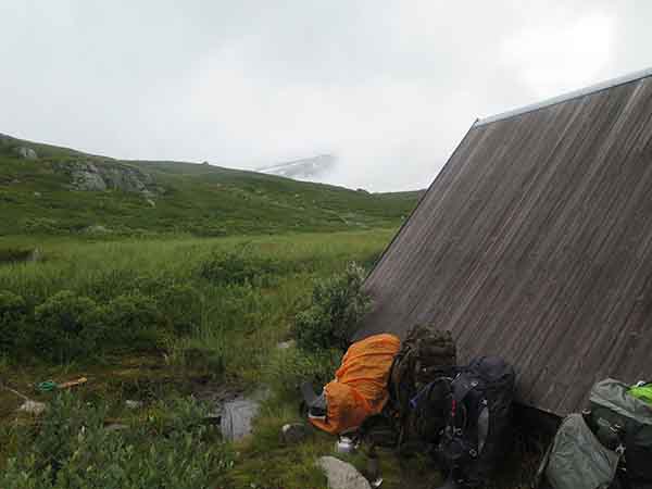 Image description