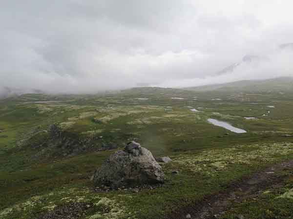 Image description