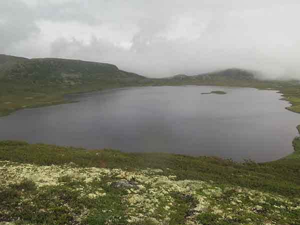 Image description