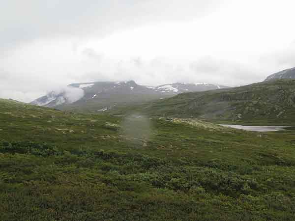 Image description