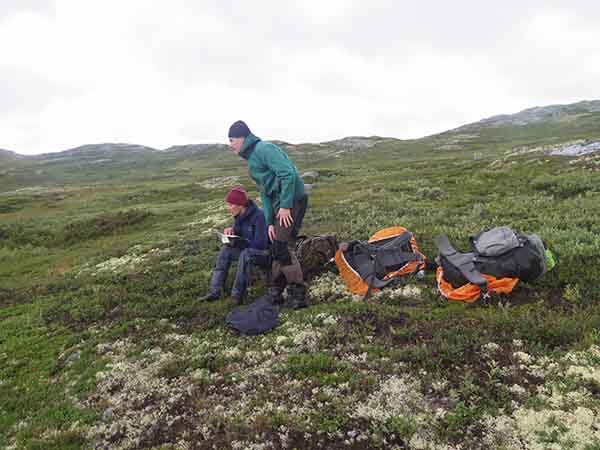 Image description