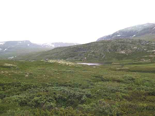 Image description