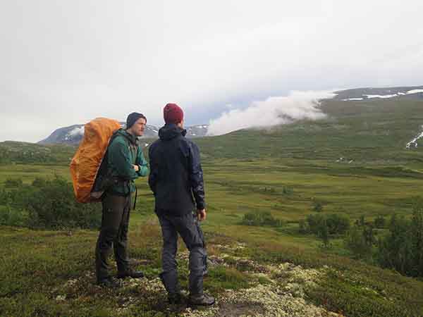 Image description