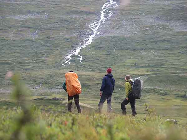 Image description