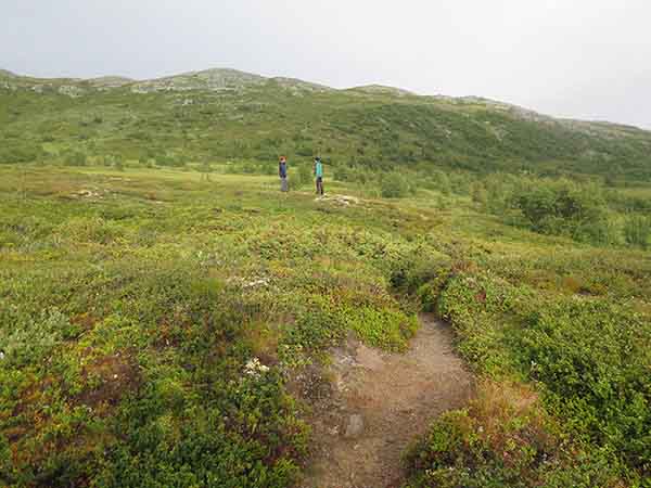 Image description