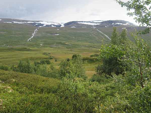 Image description