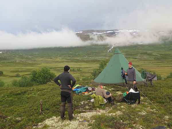 Image description