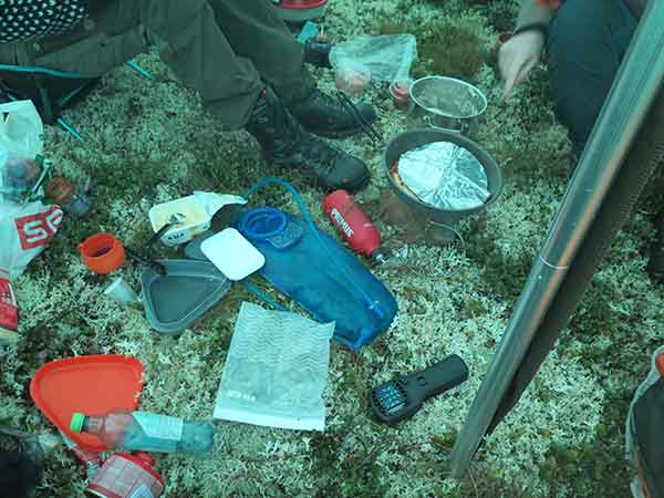 Image description