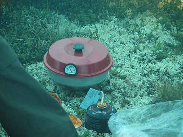 Image description