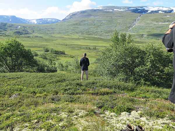 Image description