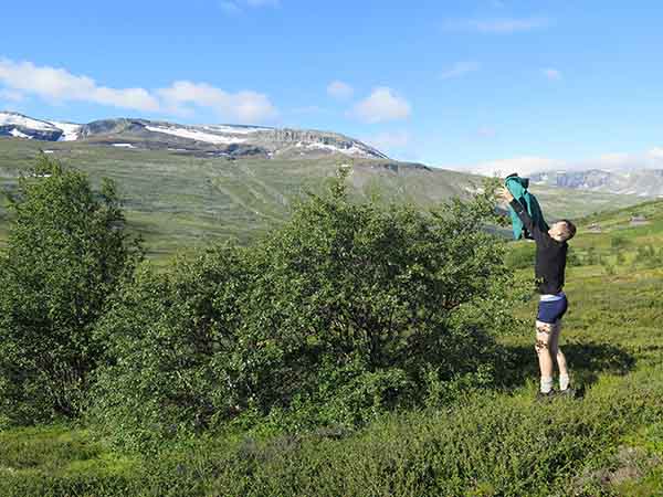 Image description