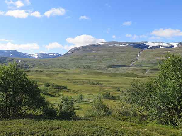 Image description