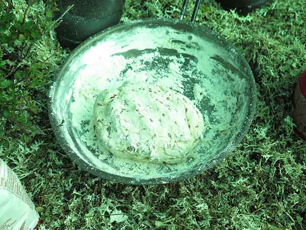 Image description